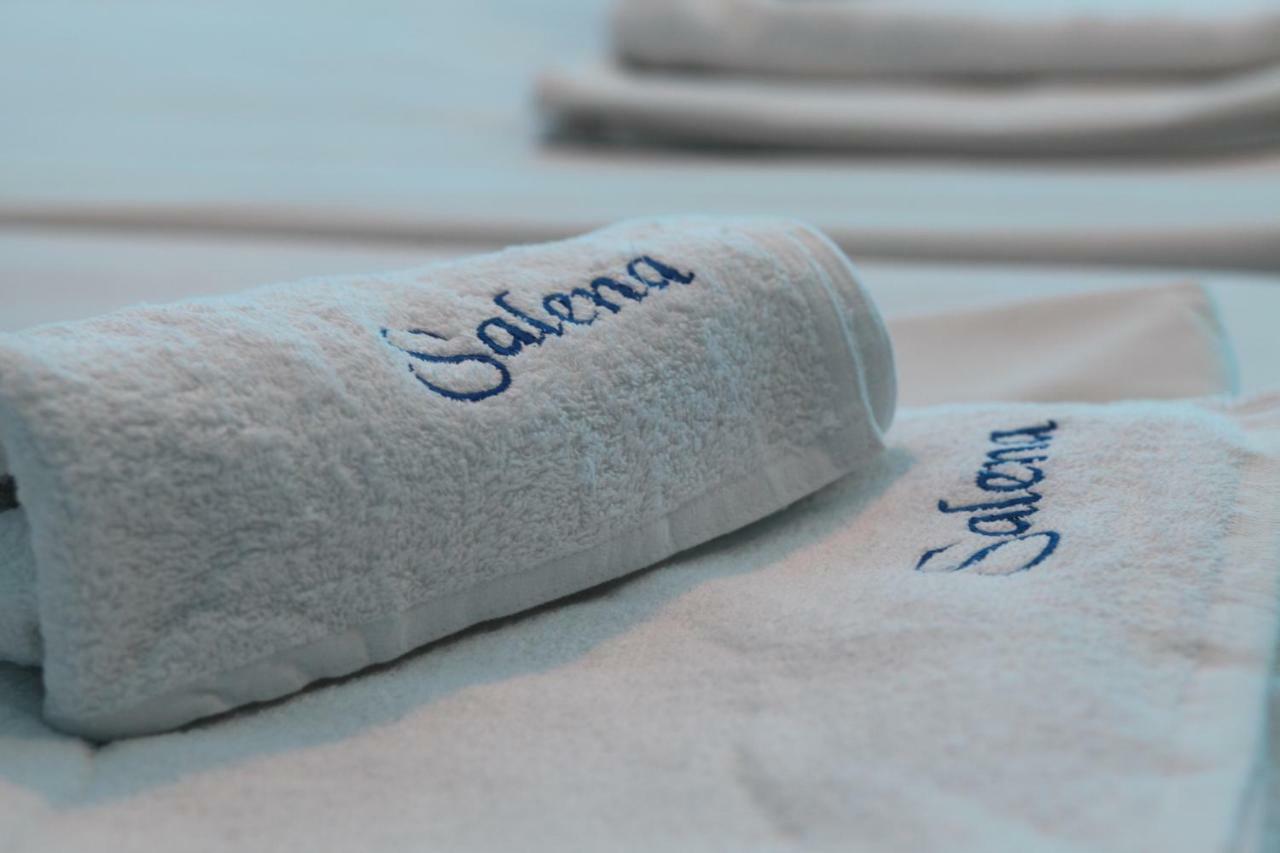 Salena Beach Hotel بريمورسكو المظهر الخارجي الصورة